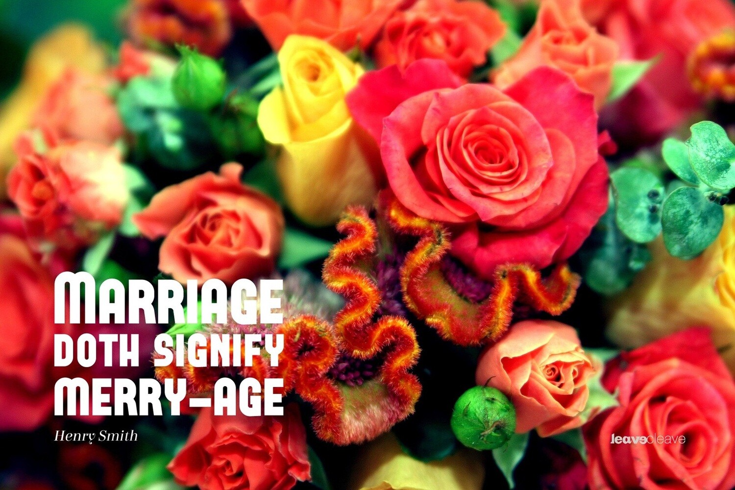Marriage Merry-age