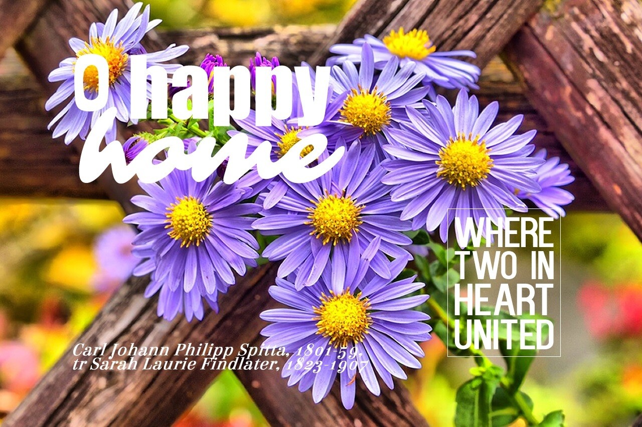 *O Happy Home  vs 1