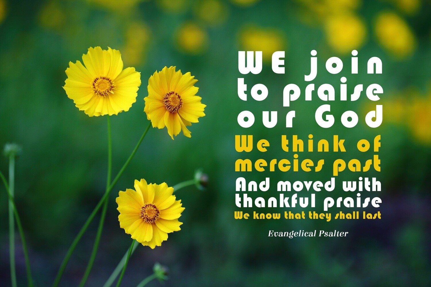 *We Join to Praise our God vs 1