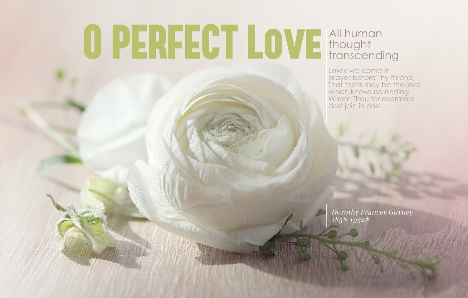 O Perfect Love (landscape)