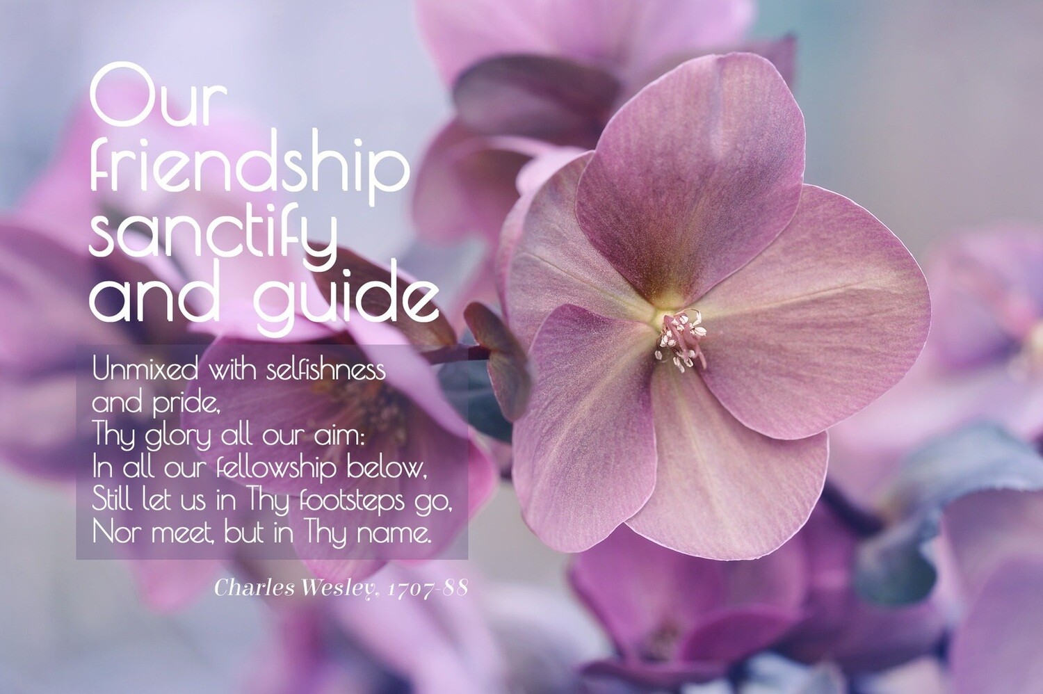 *Our friendship sanctify and guide vs 1