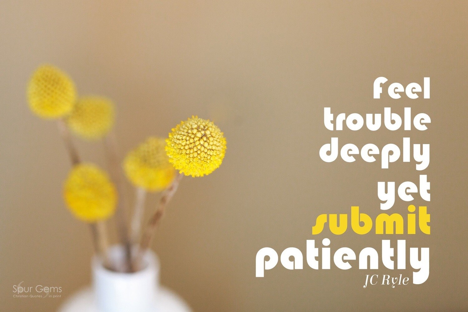 *Submit Patiently - J C Ryle