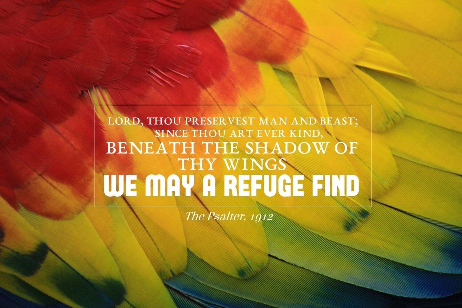 Thy mercy and Thy Truth, O Lord vs 2