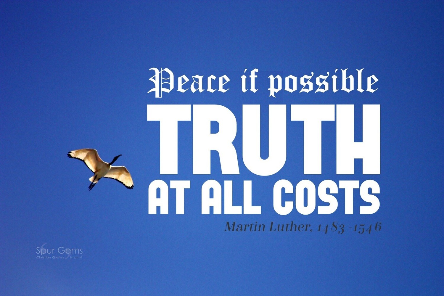 *Truth - Martin Luther