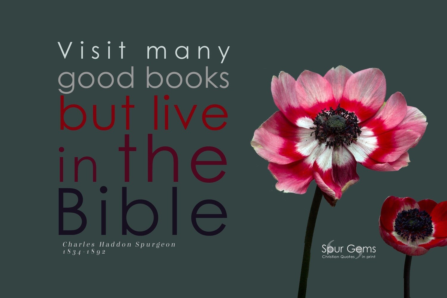 Visit Many Good Books - C H Spurgeon