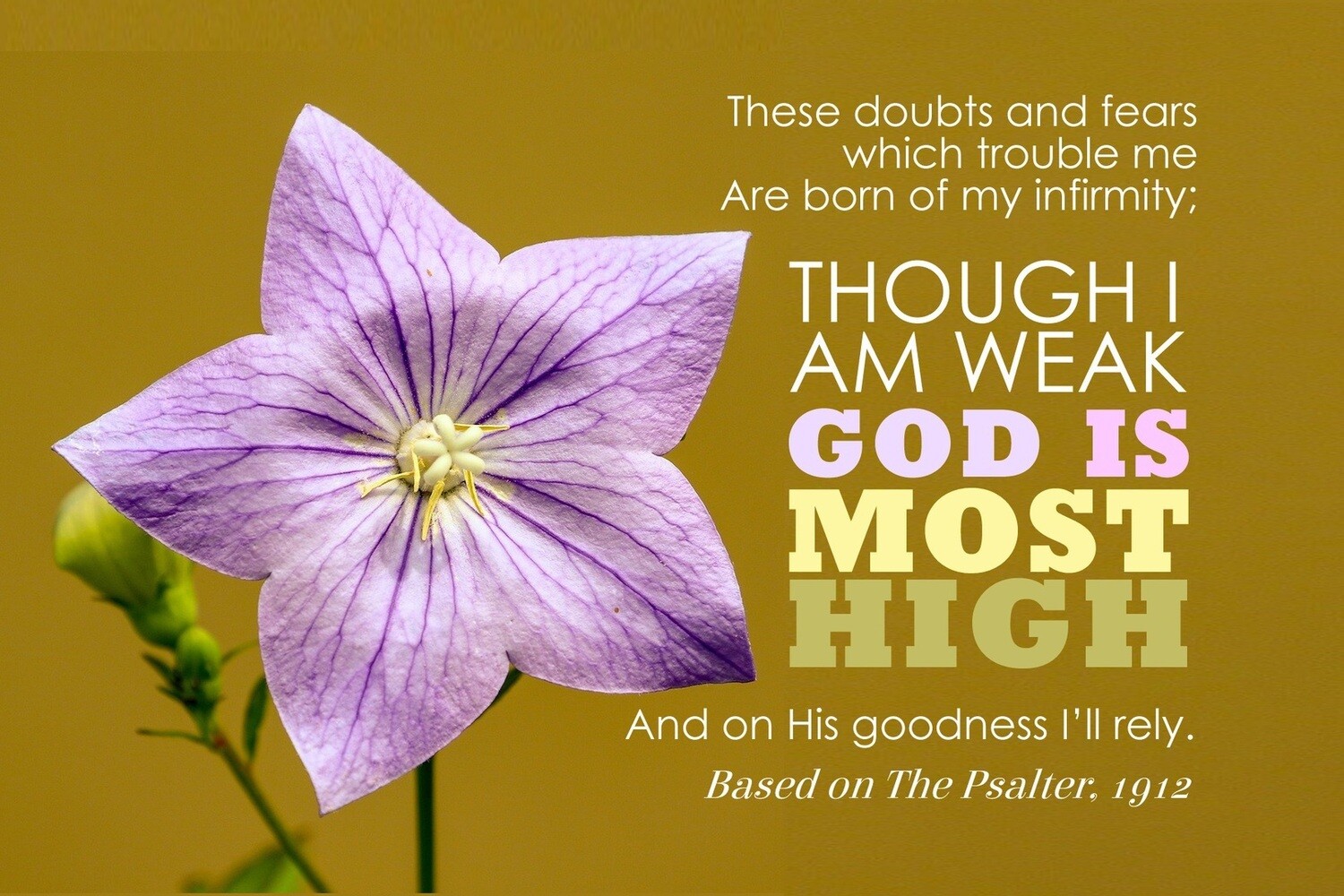 To God will I direct my prayer vs 5