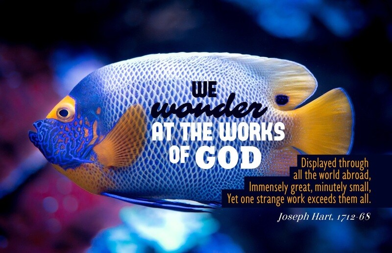 We wonder at the works of God vs 1