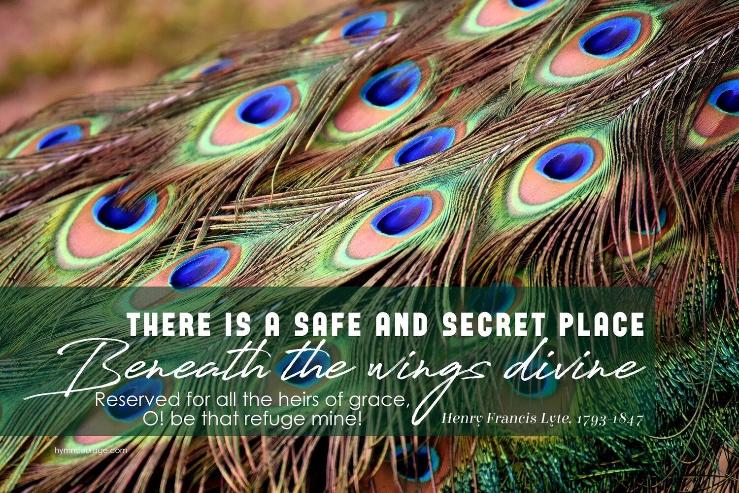 There is a safe and secret place (1) vs 1