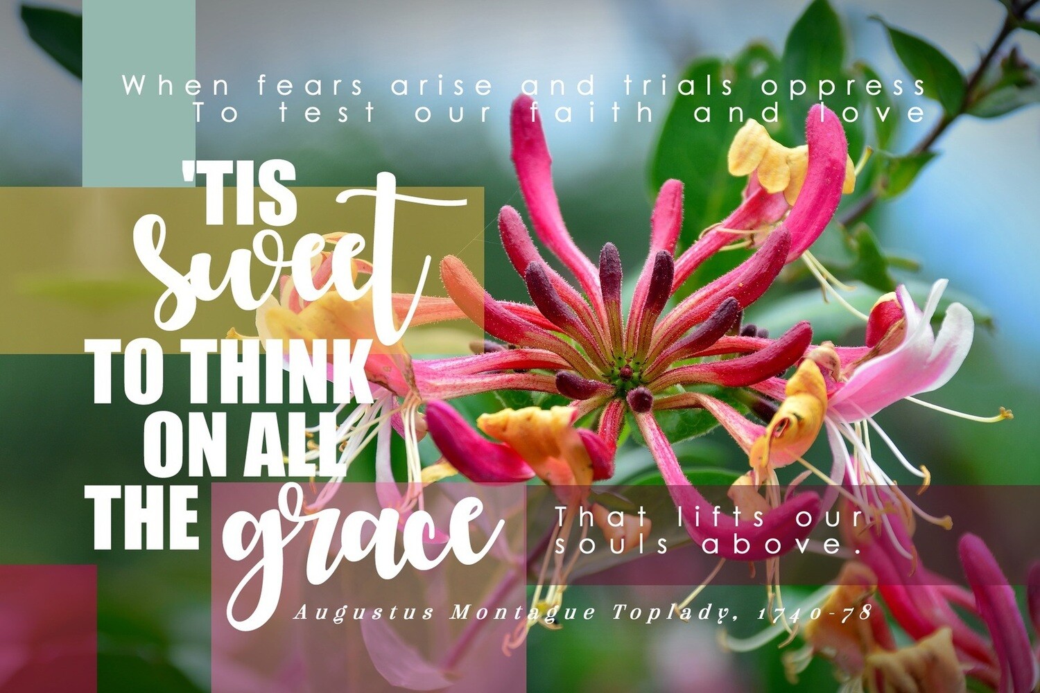 *When fears arise vs 1
