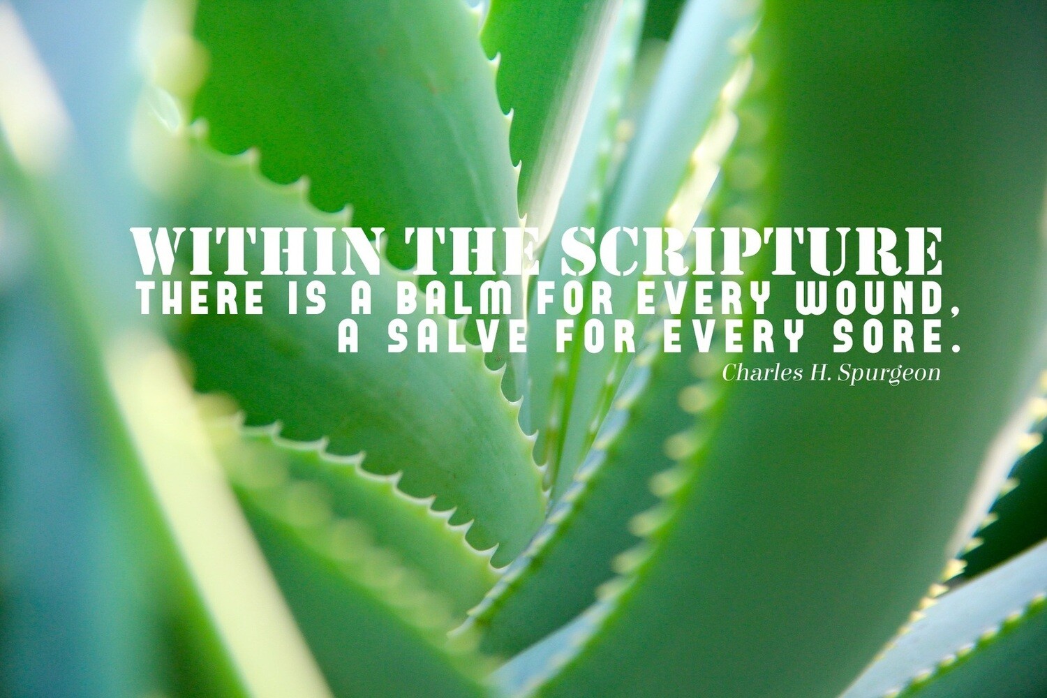 *Within the Scripture - C H Spurgeon