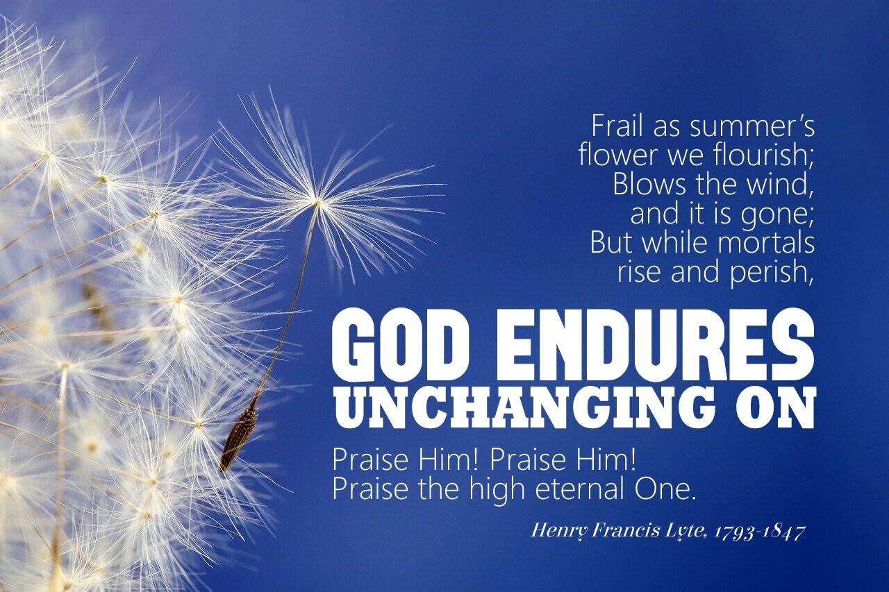*Praise, my soul, the King of Heaven vs 4