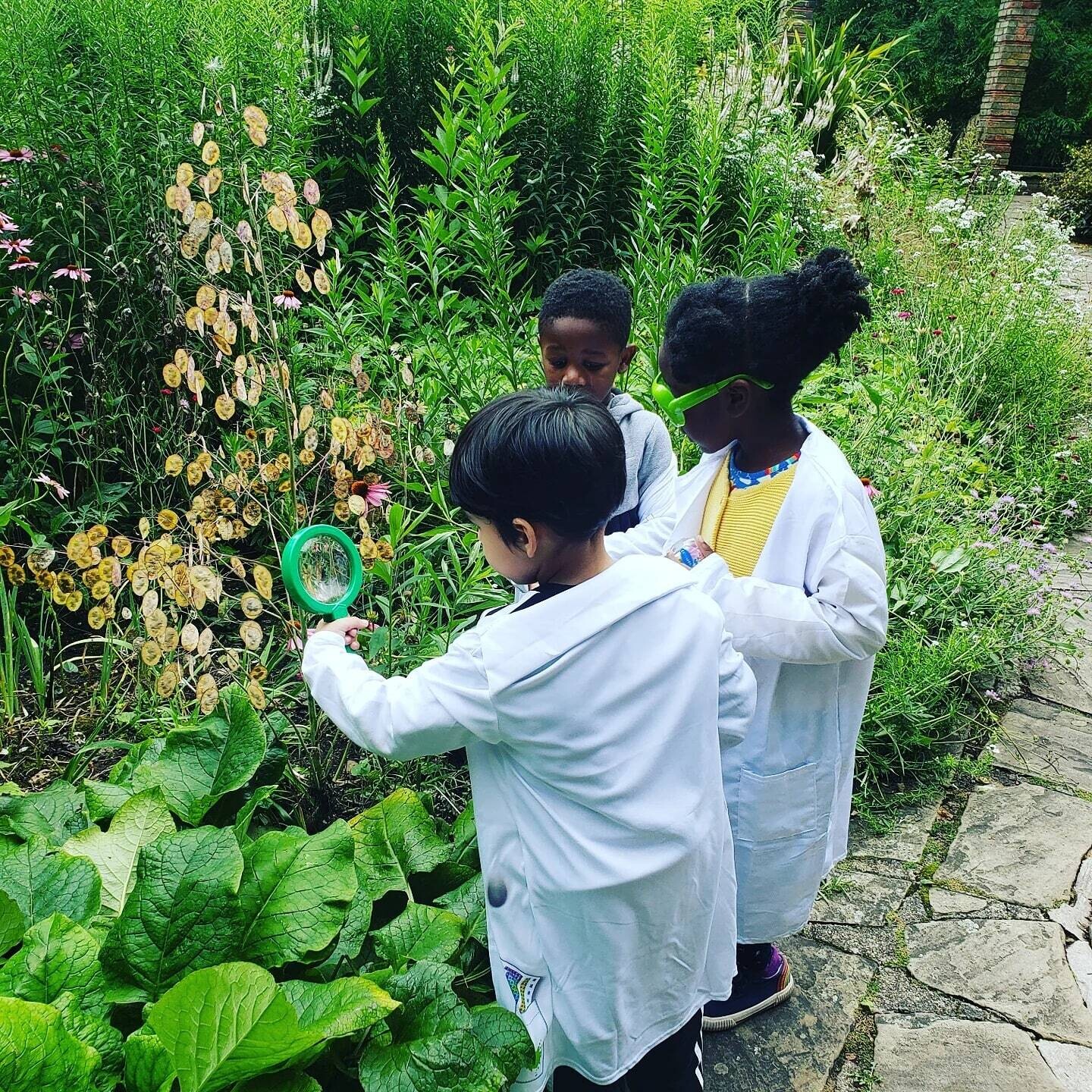 Science or Magic? - Wed 17th August - 10am-4pm