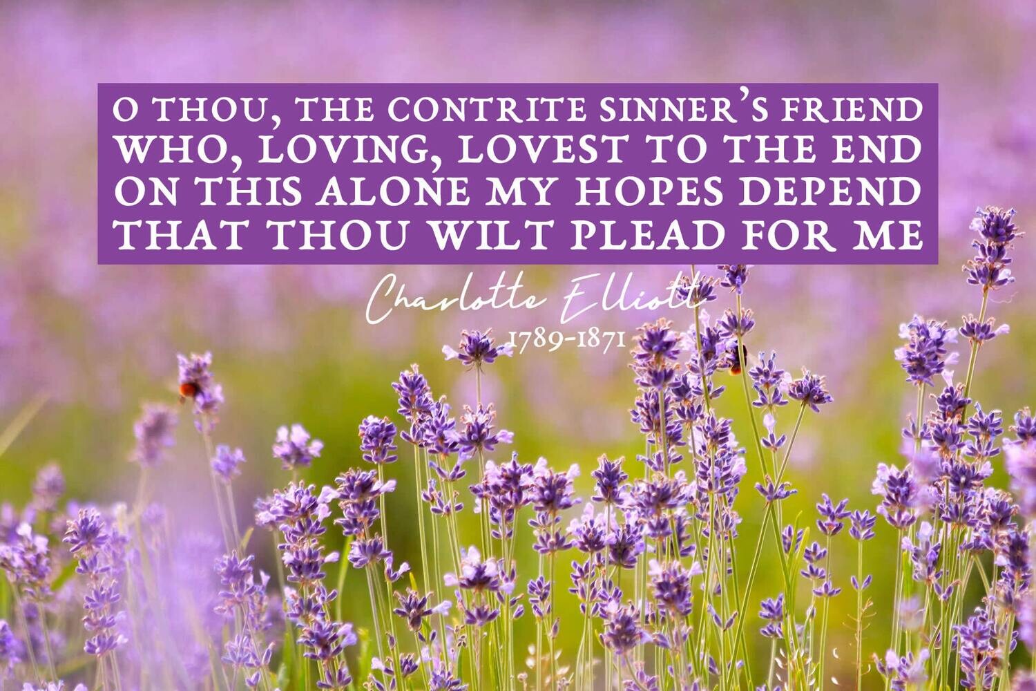 *O Thou, the contrite sinner’s Friend vs 1