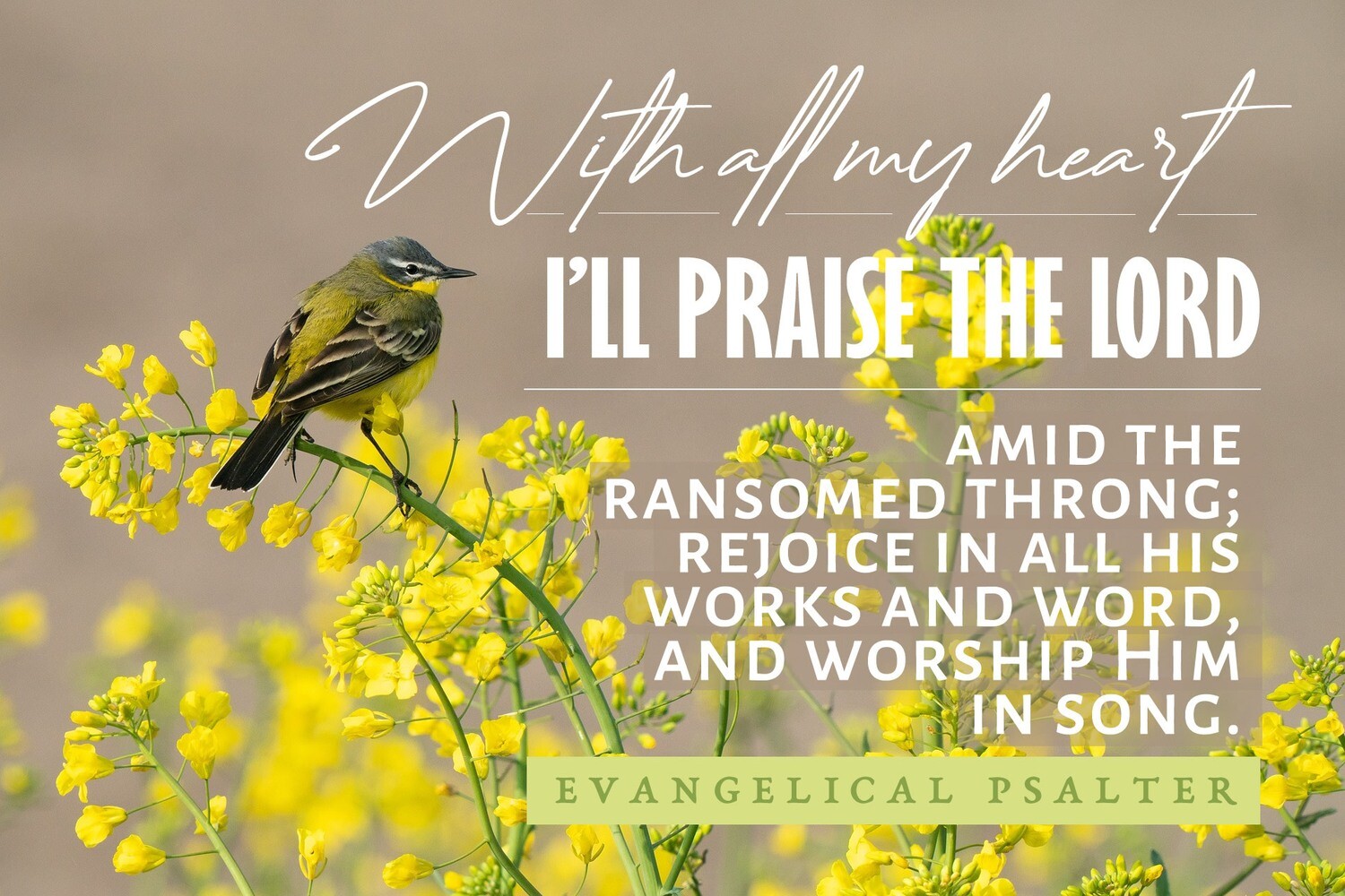 With all my heart I’ll praise the Lord vs 1
