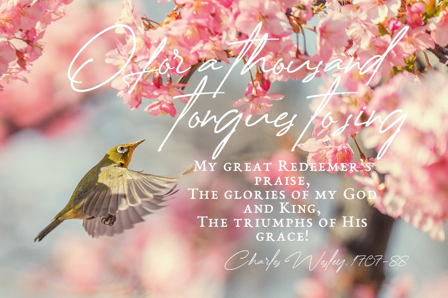 O for a thousand tongues to sing vs 1