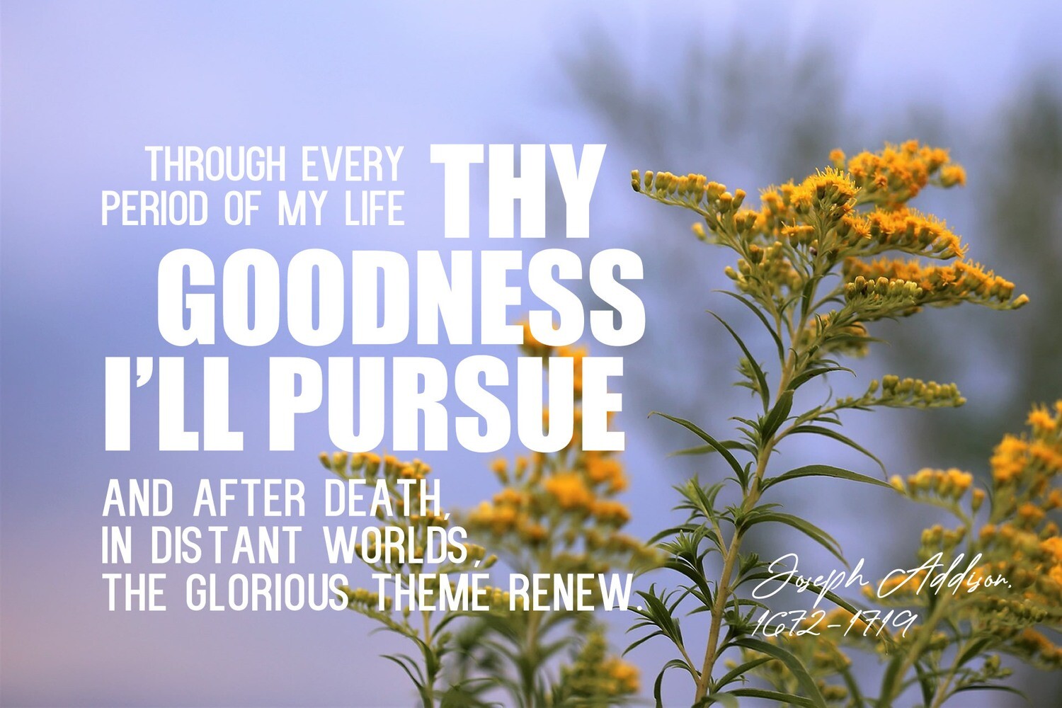 *When all Thy mercies, O my God vs 6