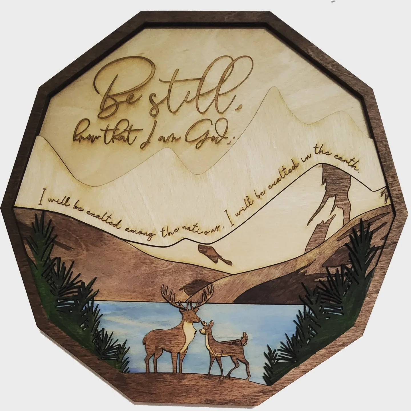 Be Still Psalm 46:10 wooden wall sign