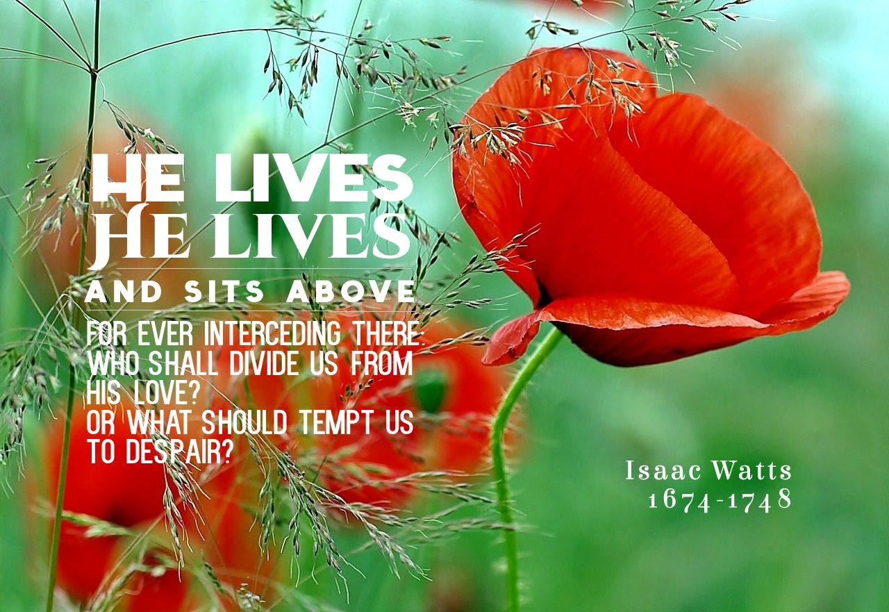 *Who shall the Lord’s elect condemn? vs 3