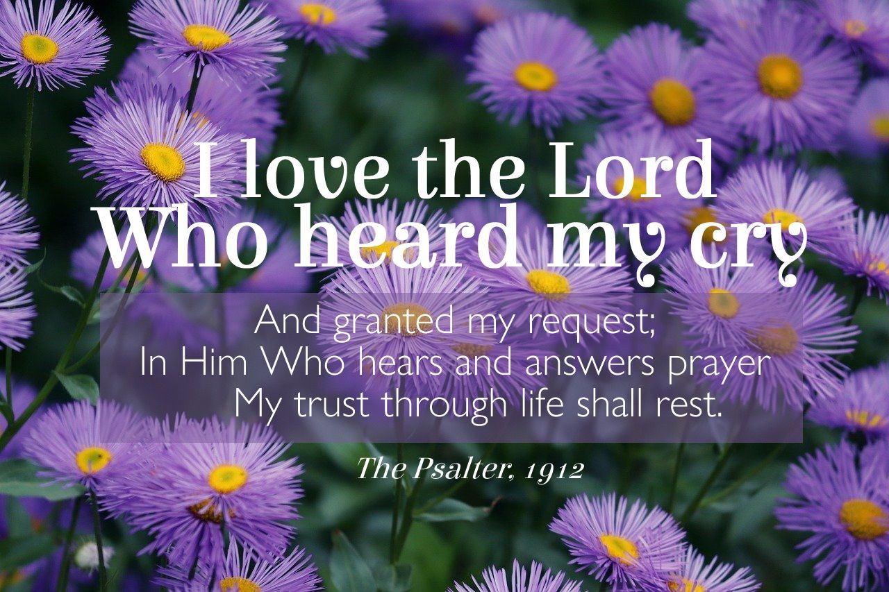 *I love the Lord Who heard my cry vs 1 (purple)