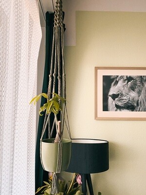 Porte plantes