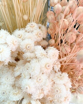 Fleurs séchées