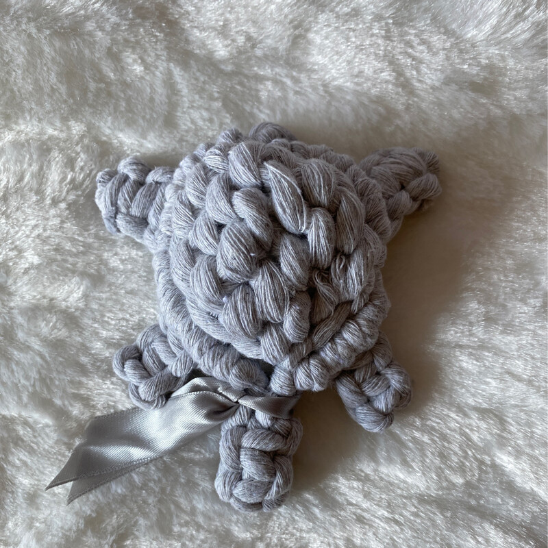 Tortue Lou
