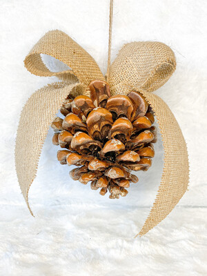 Pomme de pin décorative Abiete