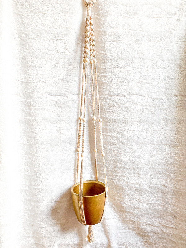 Suspension pour plantes Ceropegia