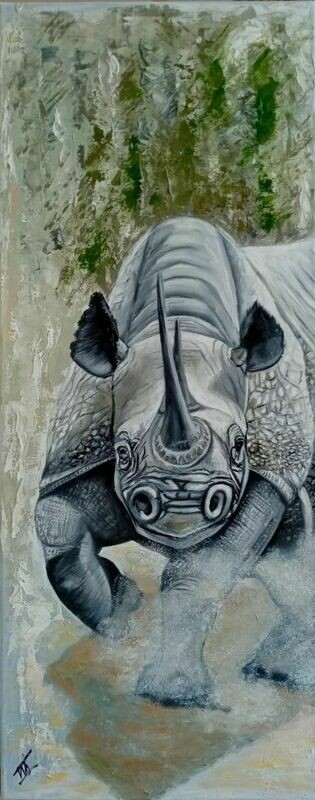 Rhinocerus