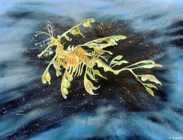 Enchanted dragon