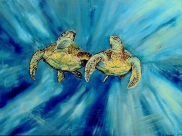 Out of mystic sea turtles