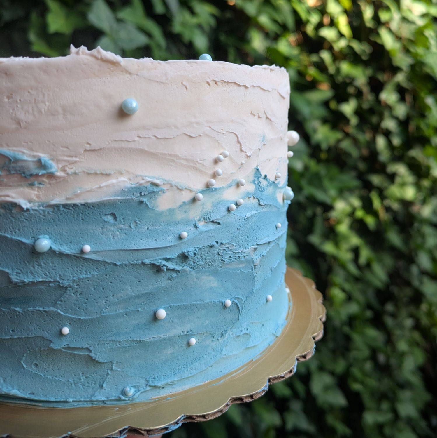 Beach / Under the Sea Cake
