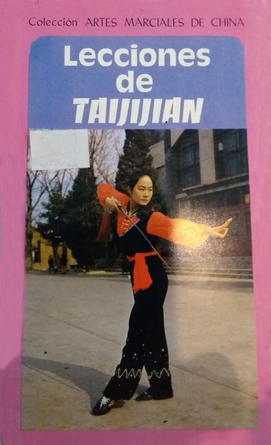 Lecciones de Taijijian