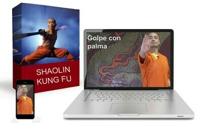 Kung Fu Shaolin Por Sifu Shi Yan Ming