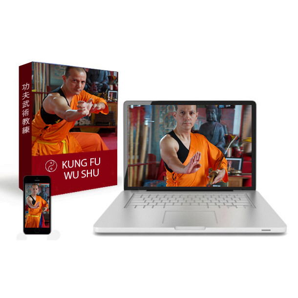 Curso Formación Completa en Kung Fu y Artes Marciales de China  1er Módulo.