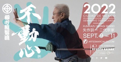 Seminario Internacional Iaido con Yahagi Sensei