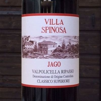 Villa Spinosa JAGO Valpolicella Ripasso 