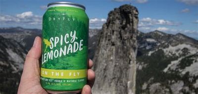 Dry Fly Spicy Lemonade Single