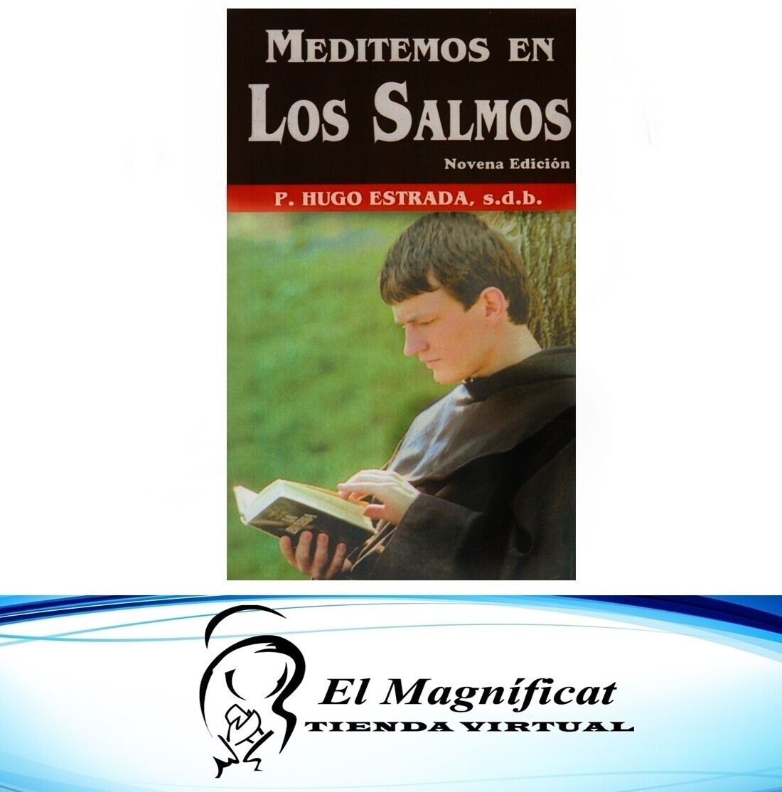 MEDITEMOS EN LOS SALMOS