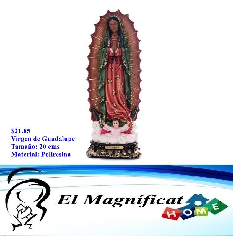 VIRGEN DE GUADALUPE 20 CMS