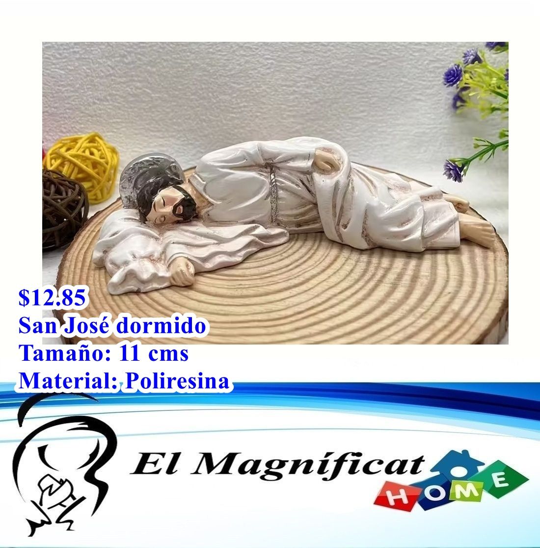 SAN JOSE DORMIDO 11 CMS