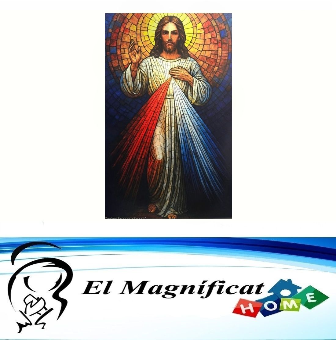CUADRO JESUS DE LA MISERICORDIA 50 CMS X 30 CMS