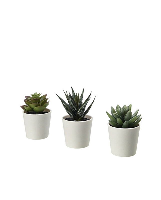 Flower Artificial Potted Succulent Plant 3 Pack
