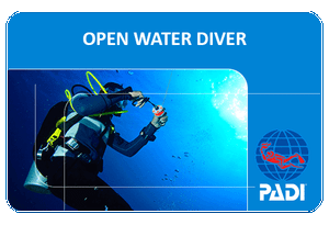 Tauchkurs PADI OWD - Open Water Diver