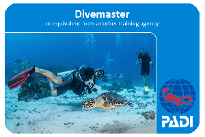 Tauchkurs PADI Divemaster