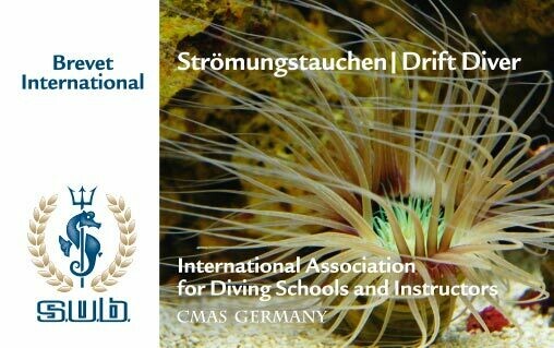 Spezial -Tauch-Kurs S.U.B Strömungstauchen Spezial -Tauch-Kurs S.U.B Strömungstauchen