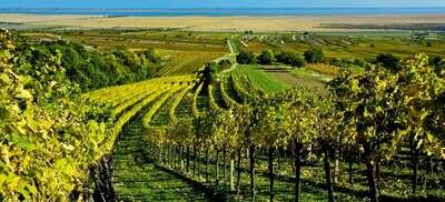 Burgenland