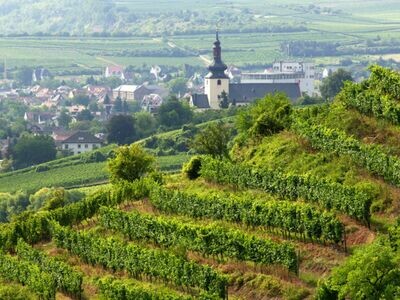 Rheinhessen