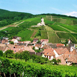 Meyer-Fonné