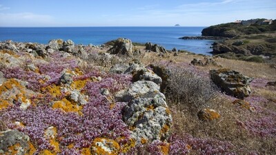 Sardegna